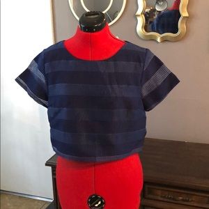 Royal blue cropped blouse